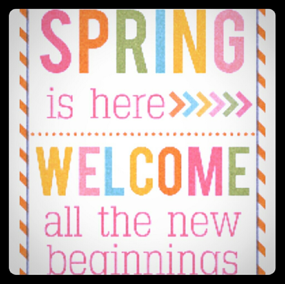 ➰🔆➰§pring🎇SALE❗🐰🐤